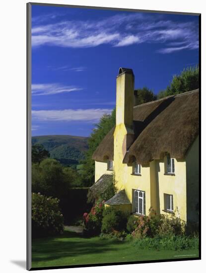 Thatched Cottage, Selworthy, Exmoor National Park, Somerset, England, UK, Europe-Pearl Bucknell-Mounted Photographic Print