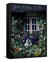 Thatched Cottage with White Window, Adare, Limerick, Ireland-Marilyn Parver-Framed Stretched Canvas