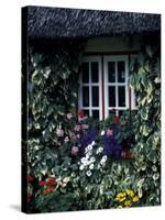 Thatched Cottage with White Window, Adare, Limerick, Ireland-Marilyn Parver-Stretched Canvas