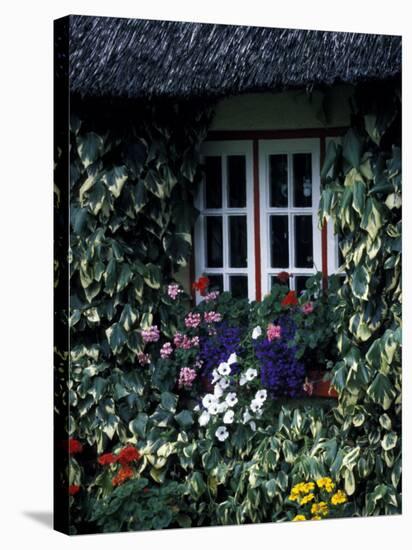 Thatched Cottage with White Window, Adare, Limerick, Ireland-Marilyn Parver-Stretched Canvas