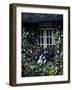 Thatched Cottage with White Window, Adare, Limerick, Ireland-Marilyn Parver-Framed Photographic Print