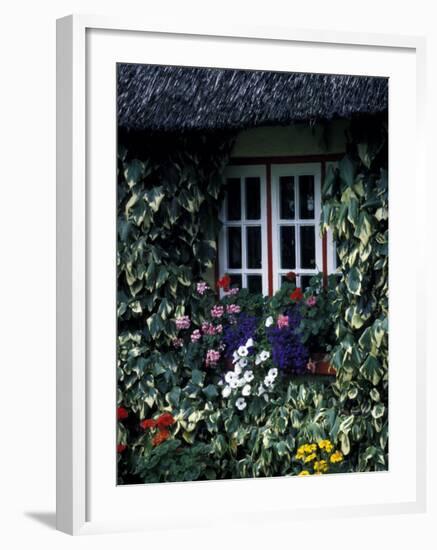 Thatched Cottage with White Window, Adare, Limerick, Ireland-Marilyn Parver-Framed Photographic Print