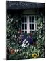 Thatched Cottage with White Window, Adare, Limerick, Ireland-Marilyn Parver-Mounted Photographic Print