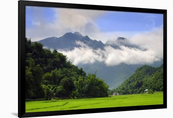 Thatched cottages and rice paddy fields with misty mountains behind, Mai Chau, Vietnam, Indochina,-Alex Robinson-Framed Photographic Print