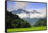 Thatched cottages and rice paddy fields with misty mountains behind, Mai Chau, Vietnam, Indochina,-Alex Robinson-Framed Stretched Canvas