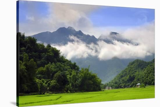 Thatched cottages and rice paddy fields with misty mountains behind, Mai Chau, Vietnam, Indochina,-Alex Robinson-Stretched Canvas