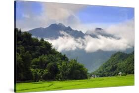 Thatched cottages and rice paddy fields with misty mountains behind, Mai Chau, Vietnam, Indochina,-Alex Robinson-Stretched Canvas
