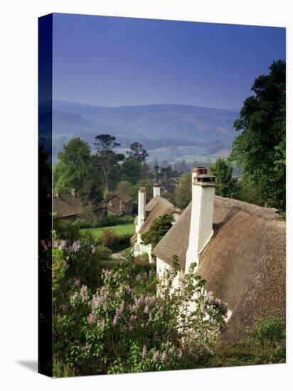 Thatched Cottages at Selworthy Green, with Exmoor Beyond, Somerset, England, United Kingdom-Chris Nicholson-Stretched Canvas