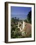 Thatched Cottages at Selworthy Green, with Exmoor Beyond, Somerset, England, United Kingdom-Chris Nicholson-Framed Photographic Print