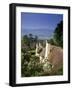 Thatched Cottages at Selworthy Green, with Exmoor Beyond, Somerset, England, United Kingdom-Chris Nicholson-Framed Photographic Print