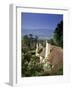 Thatched Cottages at Selworthy Green, with Exmoor Beyond, Somerset, England, United Kingdom-Chris Nicholson-Framed Photographic Print