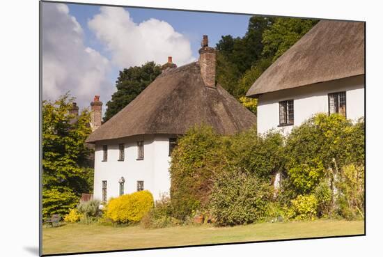 Thatched Cottages in Milton Abbas, Dorset, England, United Kingdom, Europe-Julian Elliott-Mounted Photographic Print