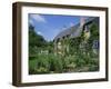 Thatched Cottages in the Cotswolds, Gloucestershire, England, UK-Rainford Roy-Framed Photographic Print