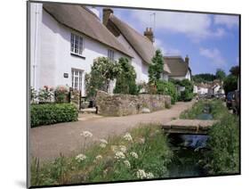 Thatched Cottages, Otterton, South Devon, England, United Kingdom-Roy Rainford-Mounted Photographic Print