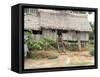 Thatched Homes Along the River, Javari River, Amazon Basin Rainforest, Peru, South America-Alison Wright-Framed Stretched Canvas