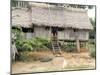 Thatched Homes Along the River, Javari River, Amazon Basin Rainforest, Peru, South America-Alison Wright-Mounted Photographic Print