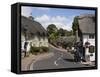 Thatched Houses, Teashop and Pub, Shanklin, Isle of Wight, England, United Kingdom, Europe-Rainford Roy-Framed Stretched Canvas