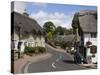 Thatched Houses, Teashop and Pub, Shanklin, Isle of Wight, England, United Kingdom, Europe-Rainford Roy-Stretched Canvas
