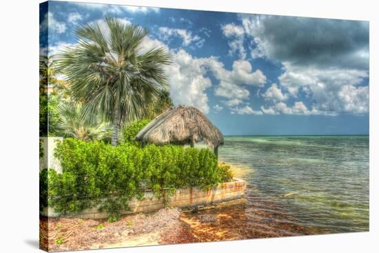 Thatched Roof-Robert Goldwitz-Stretched Canvas