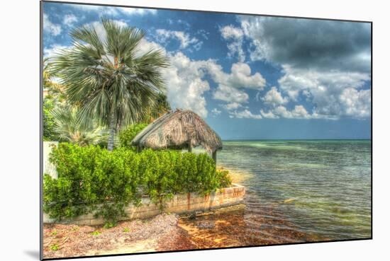 Thatched Roof-Robert Goldwitz-Mounted Photographic Print