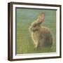 Thatcher-Marilyn Wendling-Framed Art Print