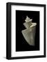 Thatcheria Mirabilis-Paul Starosta-Framed Photographic Print