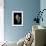Thatcheria Mirabilis-Paul Starosta-Framed Photographic Print displayed on a wall