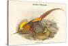 Thaumalea Picta - Golden Pheasant-John Gould-Stretched Canvas