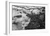 Thaw-Latitude 59 LLP-Framed Photographic Print