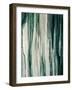 Thaw-Farrell Douglass-Framed Giclee Print