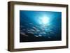 Thazard Sierra Shoal-nitrogenic.com-Framed Photographic Print