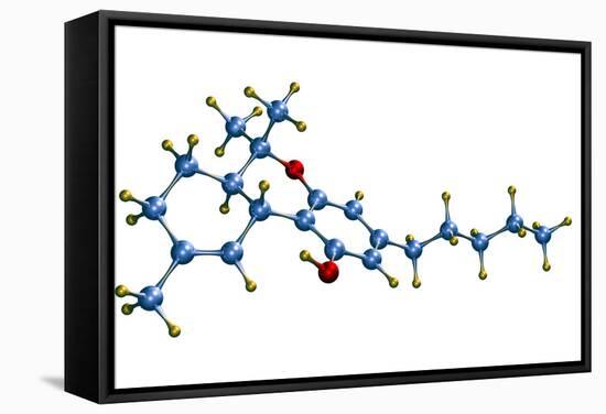 THC Cannabis Drug Molecule-Dr. Mark J.-Framed Stretched Canvas