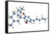 THC Cannabis Drug Molecule-Dr. Mark J.-Framed Stretched Canvas