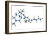 THC Cannabis Drug Molecule-Dr. Mark J.-Framed Photographic Print