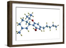 THC Cannabis Drug Molecule-Dr. Mark J.-Framed Photographic Print