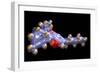 THC Cannabis Drug Molecule-Dr. Mark J.-Framed Photographic Print