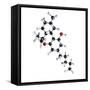 THC Drug Molecule-Science Photo Library-Framed Stretched Canvas