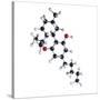 THC Drug Molecule-Science Photo Library-Stretched Canvas