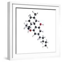 THC Drug Molecule-Science Photo Library-Framed Premium Photographic Print