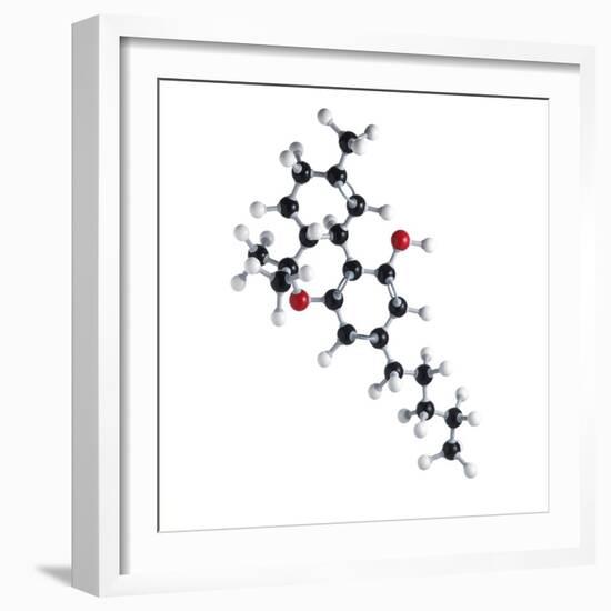 THC Drug Molecule-Science Photo Library-Framed Premium Photographic Print