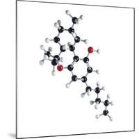 THC Drug Molecule-Science Photo Library-Mounted Photographic Print