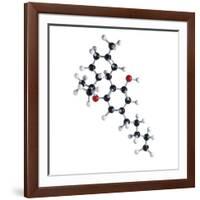 THC Drug Molecule-Science Photo Library-Framed Photographic Print