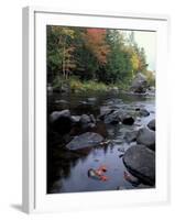 The 100 Mile Wilderness section of the Appalachian Trail, Maine, USA-Jerry & Marcy Monkman-Framed Photographic Print