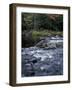 The 100 Mile Wilderness section of the Appalachian Trail, Maine, USA-Jerry & Marcy Monkman-Framed Photographic Print