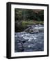 The 100 Mile Wilderness section of the Appalachian Trail, Maine, USA-Jerry & Marcy Monkman-Framed Photographic Print