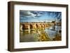 The 1000 year old Roman Bridge over The Guadalquivir River, Cordoba City, Cordoba Province, Anda...-Panoramic Images-Framed Photographic Print