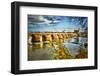 The 1000 year old Roman Bridge over The Guadalquivir River, Cordoba City, Cordoba Province, Anda...-Panoramic Images-Framed Photographic Print