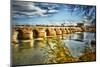 The 1000 year old Roman Bridge over The Guadalquivir River, Cordoba City, Cordoba Province, Anda...-Panoramic Images-Mounted Photographic Print