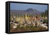 The 1045 Stupas of Shwe Inn Thein Temple-Tuul-Framed Stretched Canvas