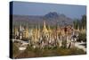 The 1045 Stupas of Shwe Inn Thein Temple-Tuul-Stretched Canvas